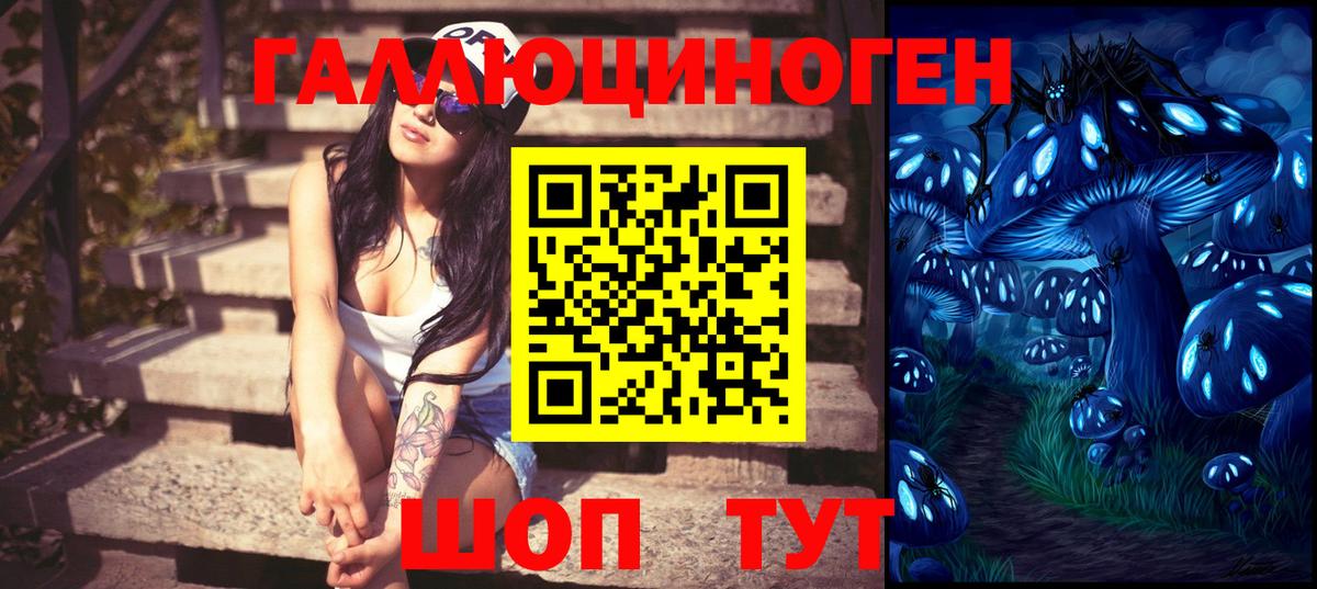 Псилоцибиновые грибы GOLDEN TEACHER Углич